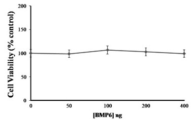 BMP6 treatment alone in primary cortical cell cultures.jpg